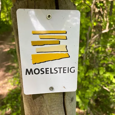 Oswald Friederich Lejlighed Briedern